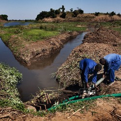 Food security in Malawi Image 1