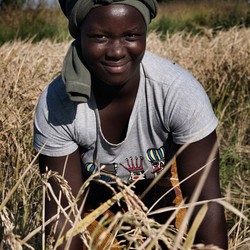 Seguridad alimentaria en Malawi Imagen 10